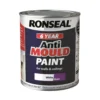 Ronseal Anti Mould Paint Matt 750ml