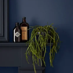 Crown Easyclean Bathroom Paint Midnight Navy - 40ml -Perfect Paints Shop 12886554 1294853989547064