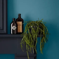 Crown Easyclean Bathroom Paint Teal - 0.04L -Perfect Paints Shop 12886566 2014853989681893