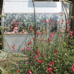 Thorndown Swan White Peelable Glass Paint 150ml -Perfect Paints Shop 13301892 3544920819837402